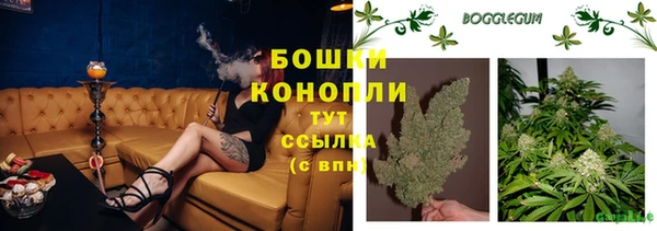 дурь Белоозёрский