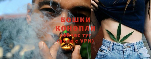 молекула духа Белокуриха