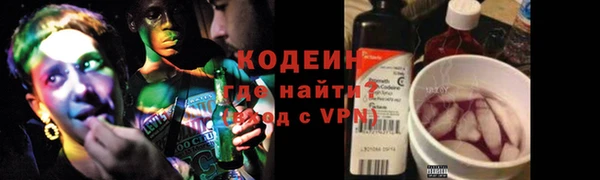 молекула духа Белокуриха