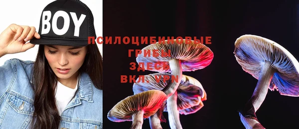 дурь Белоозёрский