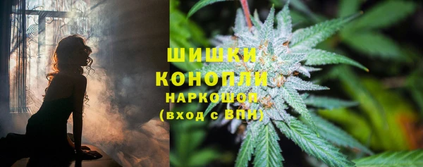 дурь Белоозёрский