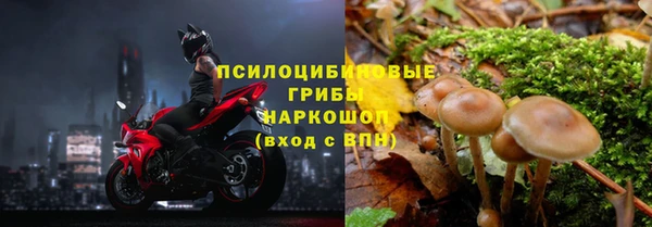 молекула духа Белокуриха